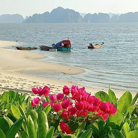 Green View Homestay In Halong